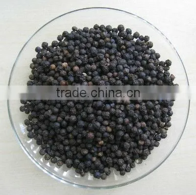 VIETNAM BLACK PEPPER 2016