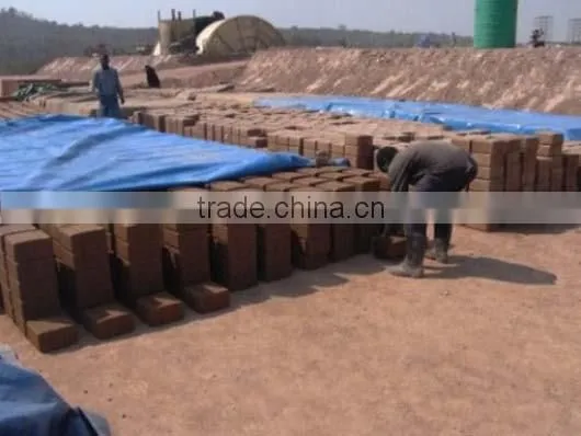 FL1-20 Compressed Earth Interlocking Brick Machine Price in India for Building Machinery photo-5