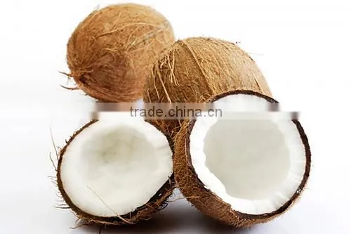 TASTY FROZEN SHREDDED COCONUT - VIET NAM - BEST FRICE photo-3