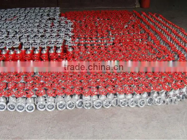 Fire Hose Fighting Extinguisher