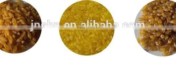 Automatic Nutritional Artificial Rice Production Line photo-6