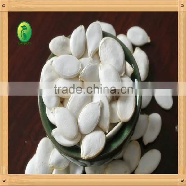 2015, Chinese Snow White Pumpkin Seeds Supply Directly From Factory photo-3