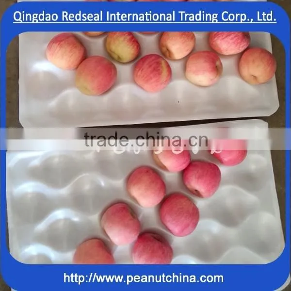 Bright Fuji Red Apple photo-4