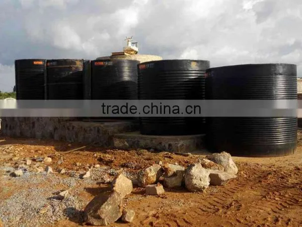 CIL and CIP Process Plants for Gold Mining in Tanzania photo-5