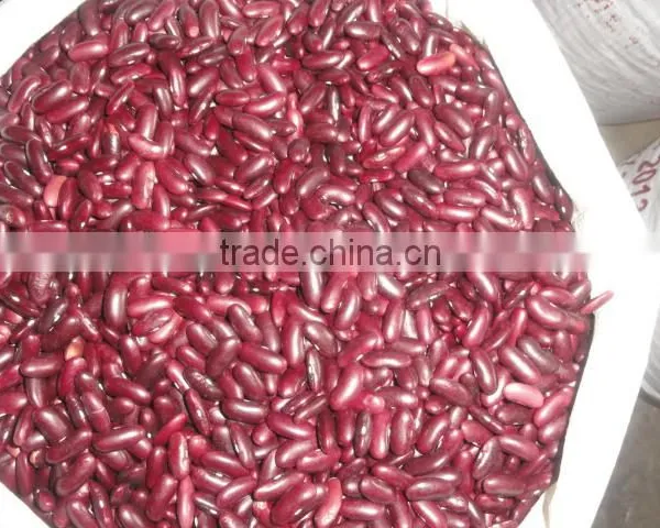 DARK RED KIDNEY BEANS HPS POLISHED