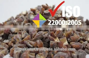 Aseel Fresh Preserved Healthy Food Products Semi Dried Dates Pakistani Dates by GNS PAKISTAN photo-4