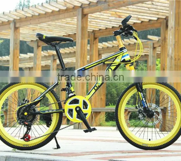 20-inch Mountain Bike 21 Speed High Carbon Steel Student Bike