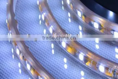 Warm White Single Color 12v Led Strip Light 2835 Smd Led Strip Led Rope Light photo-4