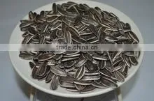 SUNFLOWER SEEDS photo-2