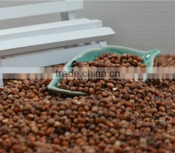 2016 Non-GMO Organic Glutinous Red Sorghum Sticky Sorghum photo-5