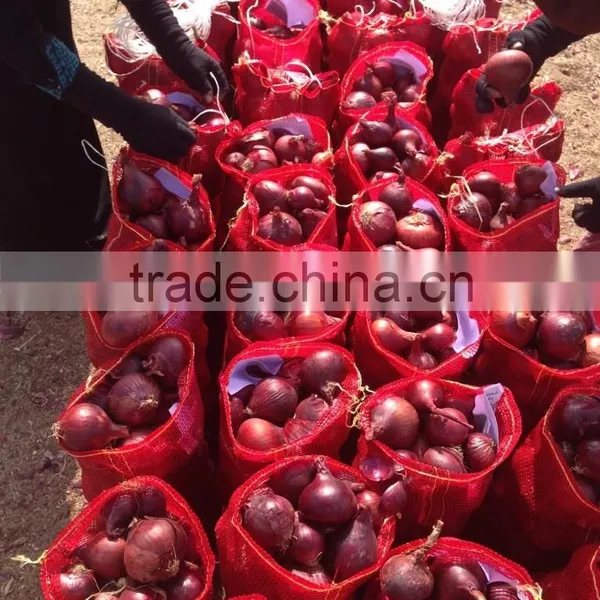 Get New Crop Of Onions photo-2
