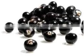 Natural High Quality Black Currant P.E./Black Currant Extract/Black Currant Extract Powder/Black Currant Powder photo-2