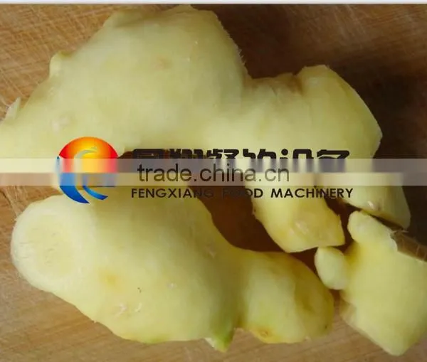 Ginger Washing and Peeling Machine Potato Brush Peeler Machine With Mix Brushes photo-4