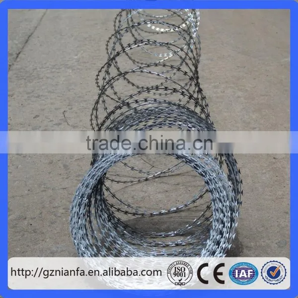 Sharp BTO-22 Hot Galvanized Razor Barbed Wire Mesh(Guangzhou Factory) photo-6