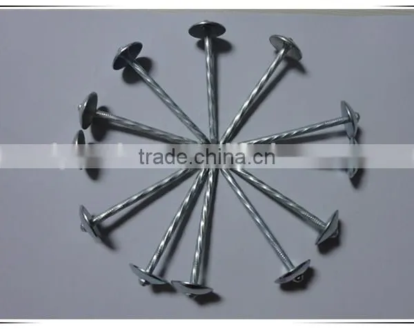 Hot Sales! China Factory Supply High Quality Galvanized Umbrella Head Roofing Nails photo-4
