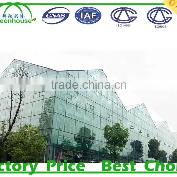 High Light Transmission Multi-span Glass Greenhouse photo-4