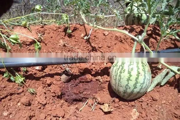Drip Irrigation Tape Drip Irrigation Pipe