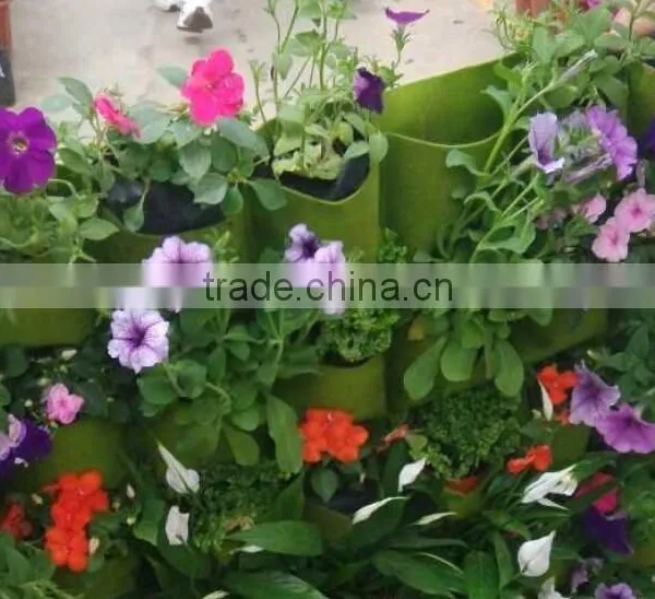 Felt Planting Bag , Decoration Green Wall Planting Bag photo-3