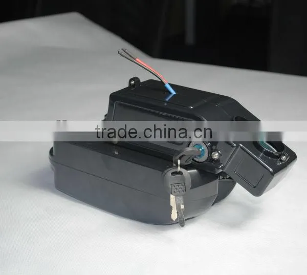Frog Style 24V LiFePO4 Battery for Ebike photo-4