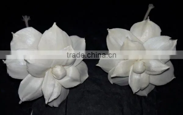 7044-7052 Sola Flower for Diffuser photo-3