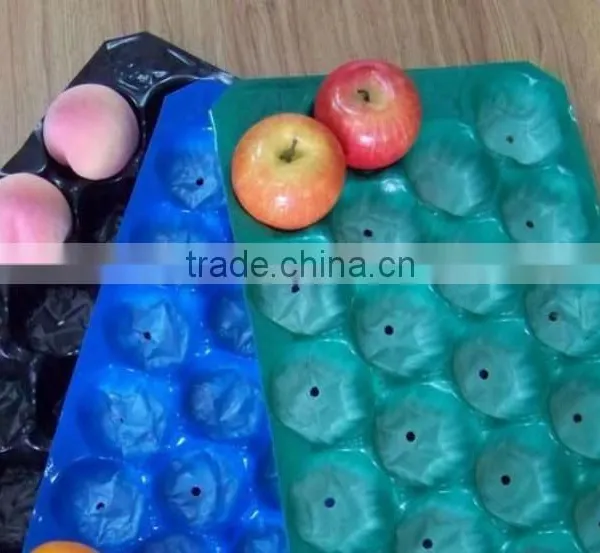 Walmart&Kroger Supermarket Display Disposable Plastic Fruit and Vegetable Trays photo-5