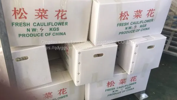 Fresh Cauliflower photo-4