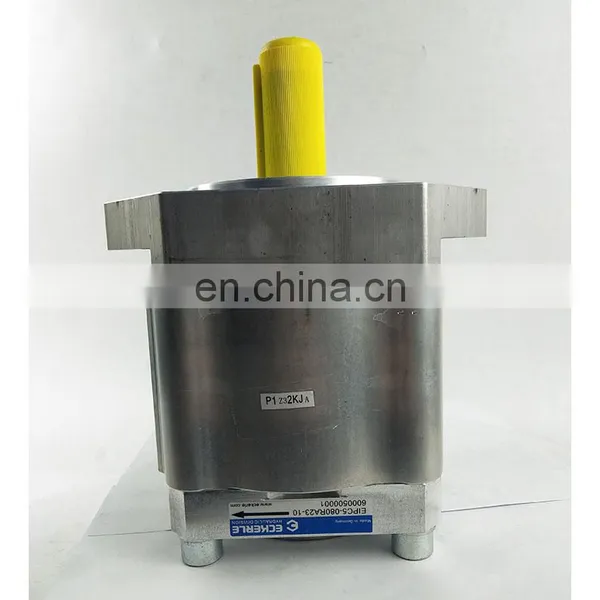 Eckerle Hydraulic Pump Oil Pump EIPC5 Series Gear Pump for Injection Molding Machine EIPC5-080RA23-10 photo-5