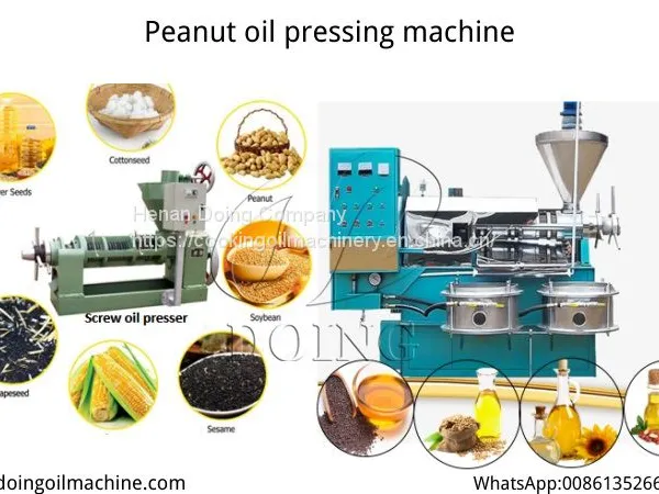 Industry Leading Edible Oil Extraction Machinery Sunflower Oil Extraction Machine photo-2