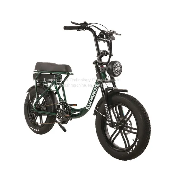 Popular 20-Inch Tire E-Bike Wholesale Electric Bicycles Electric Mountain Bike Manufacturers photo-3