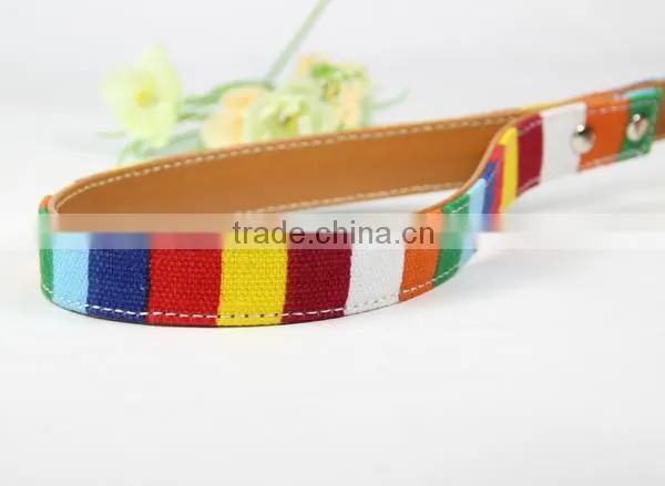 Rainbow Color Small MOQ PU Leather Dog Leash Wholesale photo-3