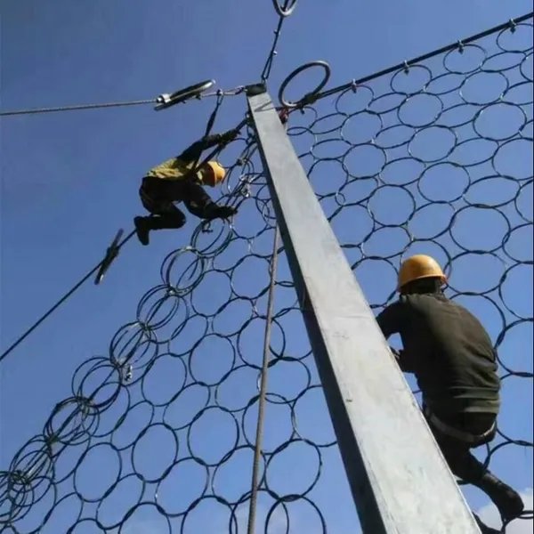 China Landslide Catch Fence Ring Net High Tensile Rockfall Protection Nets for Mountain Highway Rockfall Prevention