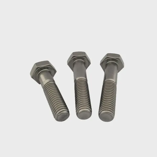 Premium 304 Stainless Steel Hexagon Bolts for Durable Construction photo-4