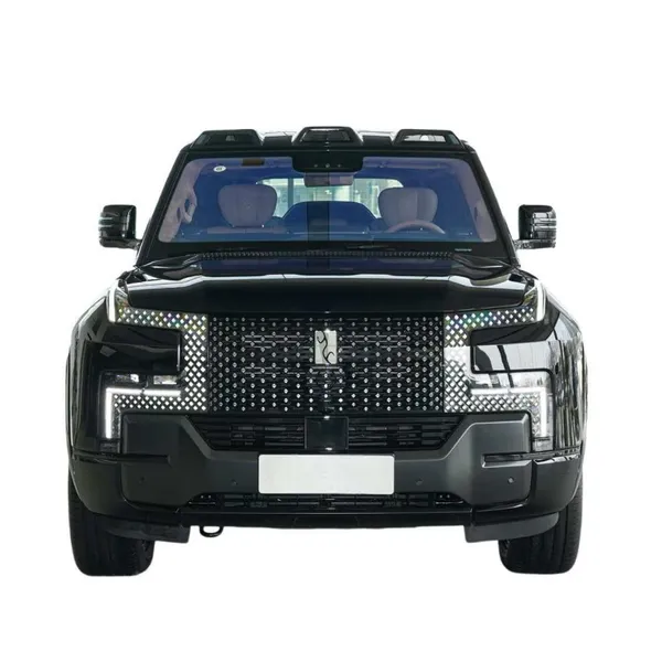 BYD Looks up at the Front Grille