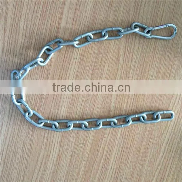 Electro Galvanized Din763 Long Chain photo-5