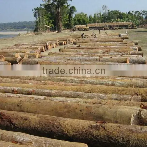 0.3mm Gurjan Veneer for India Market photo-3