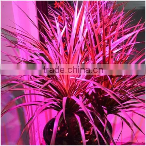 Full Spectrum LED Grow Lights 10W E27 LED Grow Lamp Bulb for Flower Plant Hydroponics System AC 85V 110V 265V Grow bo 1Pcs/lots photo-4