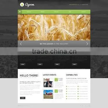 Website Design Services photo-6