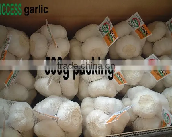 Shandong New Garlic Price of Sale photo-4