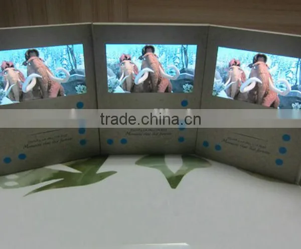 Chinese Supplier Wholesales New Design Promotional Video Card Popular Products in Usa