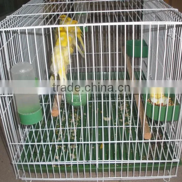Bird Cage photo-5