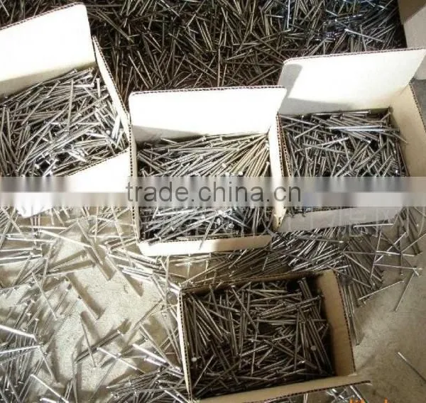 Common Nails With Good Quality photo-6