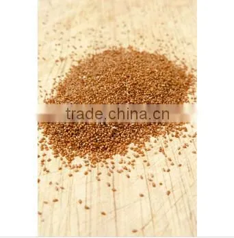 Teff Djibouti Fresh Soft Wheat
