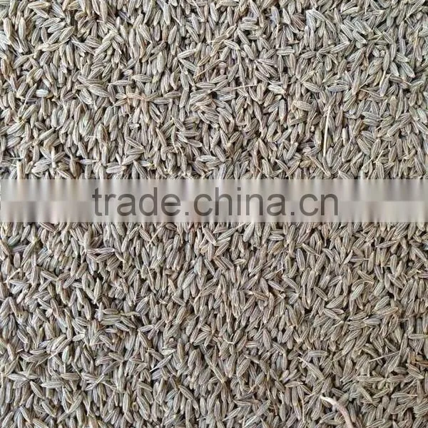 Cumin Seed Singapore Quality New Crop 2016 photo-5
