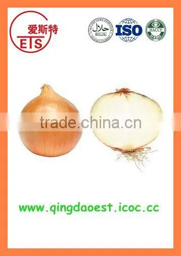 Bulk Chinese Best Quality Fresh Yellow Onion photo-3