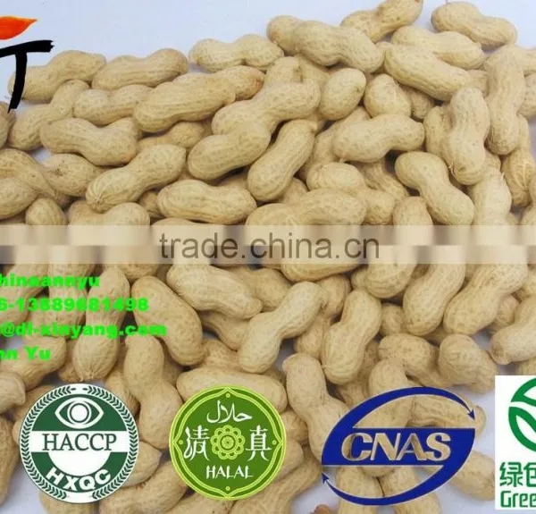 Spicy Peanuts photo-4