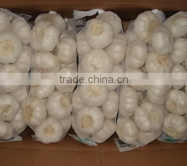 Pure White Garlic Packed in 10kgs/ctn photo-2