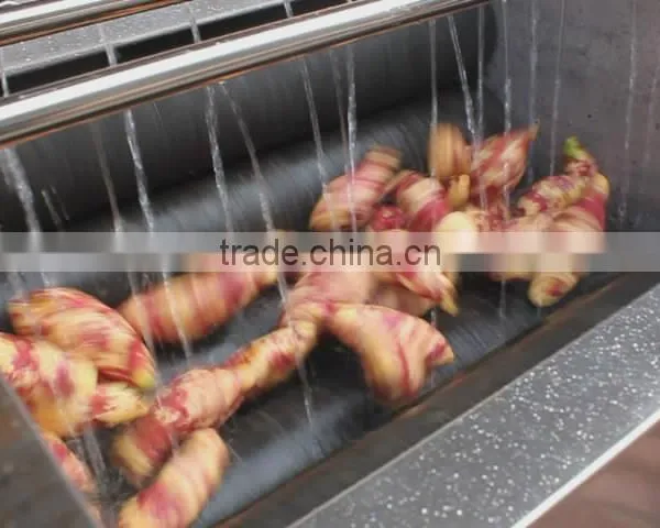 MSTP-80 Potato Carrot Vegetable Root Washing and Peeling Machine photo-6