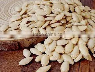 Manufacture High Quality Pumpkin Seed Oil Lower Blood Lipid photo-4