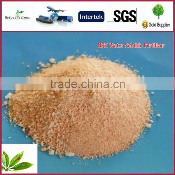 Bargain Waiter Soluble Fertilizer NPK 19-19-19 Compound Fertilizer photo-4
