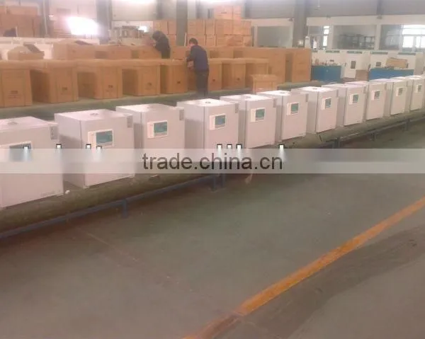 Electro-thermal Constant Temperature Incubator photo-3